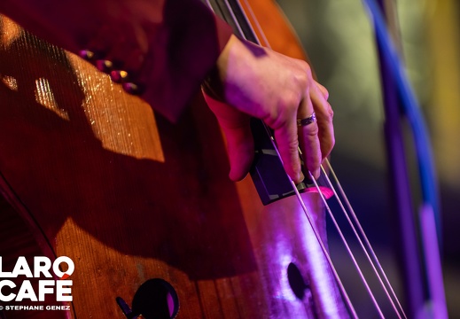 250403-the-seabass-blues