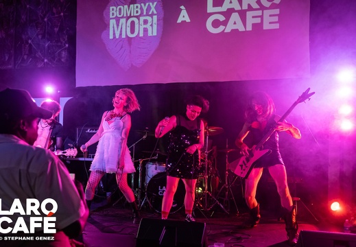 250628-bombyx-mori-cady-punk