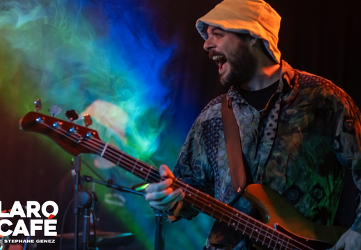 260213-soniahibiscus-agneslenny-potager